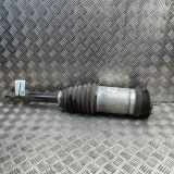 Stoßdämpfer links hinten Tesla Model X (5YJX) 102746100G