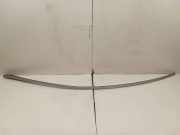 Dachleiste links MERCEDES-BENZ CLS (C219) CLS 320 CDI (219.322)