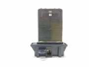 Blower Fan Relay NISSAN ALMERA TINO (V10) 2.2 dCi 0927E66