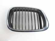 Kühlerluftumlenker BMW 5 (E39) 520 d 8159316