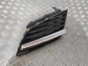 Vorderer oberer Gitter NISSAN PRIMERA Hatchback (P12) 2.2 Di 62330AU300
