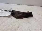 Andere Motorraumteile RENAULT CLIO II (BB0/1/2_, CB0/1/2_) 1.5 dCi (B/CB07) 1234