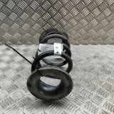 Fahrwerksfeder hinten rechts TESLA MODEL Y EV Performance All-wheel Drive 1188472-00-B