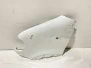 Kotflügel vorne links RENAULT MASTER II Furgon (FD) 1.9 dTI