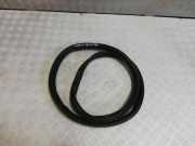 Türdichtung Renault Laguna III (T)