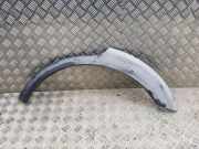 Rear Arch Liner Trim CHEVROLET CAPTIVA (C100, C140) 2.2 D 4WD 96439715