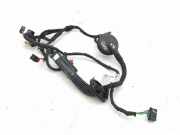 Türverkabelung hinten links AUDI Q4 SUV (F4B) 45 e-tron 2431407533