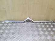 Andere Aufbauteile CITROËN C4 II (B7) 1.6 VTi 120 9646995977