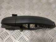 Türaußengriff hinten links FORD GALAXY III (CK) 2.0 TDCi 6M21