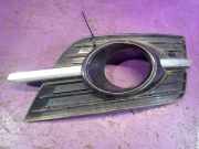 Kühlergrill unten VW Passat B6 CC (357) 3C8853666H