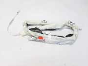 Airbag Dach links Citroen C4 Cactus () 9804358980