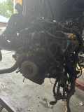 Motor ohne Anbauteile (Benzin) BMW 5er Touring (G31) B48B20B