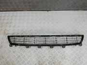 Schwellerleisten BMW X5 (E70) 51117325482