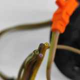 Schleifring Airbag Mercedes-Benz SLK (R170) A1704600149