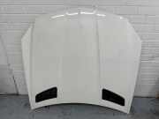 Motorhaube Mercedes-Benz SLK (R172)