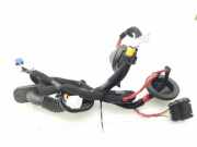 Kabel Tür Hyundai Ioniq (AE) 91650G7030