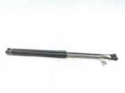 Heckklappe Gasdruckfeder links MERCEDES-BENZ C (W203) C 270 CDI (203.016)