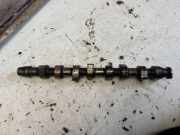 Nockenwelle AUDI A4 Avant (8D5, B5) 1.9 TDI