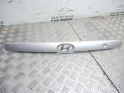 Kennzeichenbeleuchtung Verkleidung HYUNDAI ELANTRA (XD) 1.6