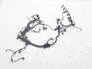 Motor Kabelbaum BMW 5 (F10) 530 d 851325501