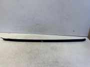 Zierleiste Windschutzscheibe Frontscheibe BMW X6 (F16, F86) xDrive 30 d 7462217
