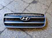 Vorderer oberer Gitter HYUNDAI SANTA FÉ II (CM) 2.2 CRDi GLS E865612B020