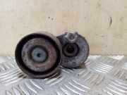 Riemenspanner RENAULT SCÉNIC II (JM0/1_) 1.9 dCi (JM0G, JM12, JM1G, JM2C) 072120628000