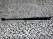 Heckklappe Gasdruckfeder links AUDI Q7 (4L) 3.0 TDI quattro 0081010560N