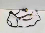 Kabel der vorderen linken Tür CITROËN C4 Grand Picasso I (UA_) 1.6 HDi 9662009080