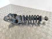 Stoßdämpfer hinten links CITROËN DS7 Crossback 1.5 BlueHDi (JCYHZJ, JCYHZR) 9829356780
