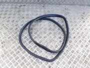 Dichtungsgummi der hinteren Tür (an der Karosserie) BMW X3 (E83) xDrive 30 d