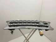 Vorderer oberer Gitter LAND ROVER DISCOVERY III (L319) 2.7 TD 4x4 62918110