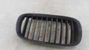 Kühlergrill oben BMW 5er (E39)
