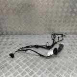 Kabel Tür vorne rechts BMW 2 Active Tourer (F45) 225 xe 8720734 8720738