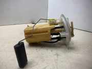 Kraftstoffpumpe Peugeot 407 () 0973630990104
