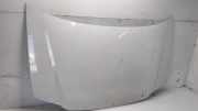 Motorhaube VW CADDY III Variant (2KB, 2KJ, 2CB, 2CJ) 1.9 TDI