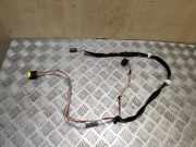 Kabelbaum Renault Master III Kasten (FV) 268711R