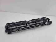 Vorderer oberer Gitter LAND ROVER RANGE ROVER EVOQUE (L538) 2.2 D 4x4 Bj328b189a