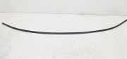 Dachleiste links FORD FUSION (JU_) 1.6