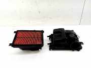 Luftfiltergehäuse Nissan Juke (F15) 5WK97021