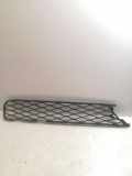 Gitter vorne unten MERCEDES-BENZ R (W251, V251) R 320 CDI 4-matic (251.022, 251.122) A2518850253