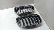 Vorderer oberer Gitter BMW X6 (E71, E72) M