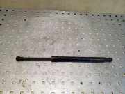 Heckklappe Gasdruckfeder links BMW 3 Touring (E91) 330 d 51247060623