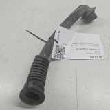 Leiterverkleidung der hinteren Deckel auf der rechten Seite MERCEDES-BENZ C (W203) C 230 Kompressor (203.040) A2038321394