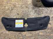 Motorraumdämmung Fiat Ducato Kasten (250)