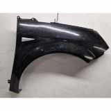 Kotflügel vorne rechts RENAULT GRAND SCÉNIC II (JM0/1_) 1.9 dCi (JM15)