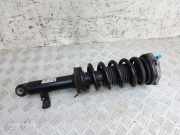 Stoßdämpfer hinten links BMW X3 (G01, F97) M Competition 31318067507
