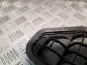 Karosserielüftungsgitter