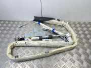 Dach SRS rechts AUDI Q7 (4M) 2020 SQ7 TDI Quattro 4L0880741A