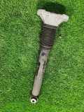 Stoßdämpfer hinten links MERCEDES-BENZ GLE (W167) 5.3 AMG A1673209001